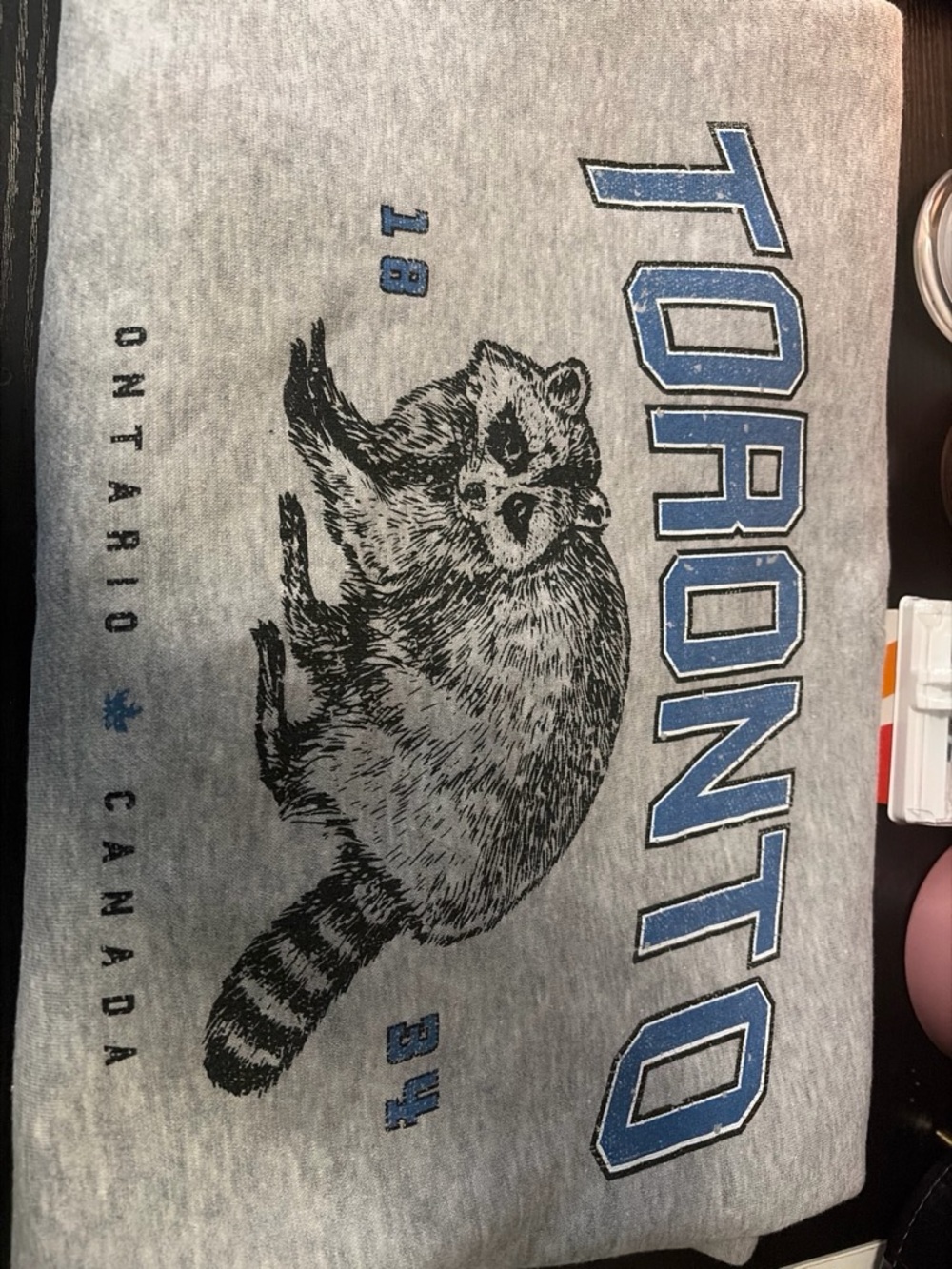 Grey Crewneck Sweater with Blue Toronto Graphic
